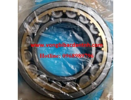 VÒNG BI-BẠC ĐẠN-Ổ BI NU2310G1-VÒNG BI NU2310 RẾ ĐỒNG-VÒNG BI NU2310 RẾ SẮT-NU2310 RẾ NHỰA